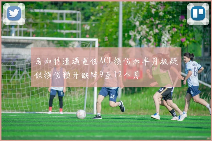 乌加特遭遇重伤ACL损伤加半月板疑似损伤预计缺阵9至12个月